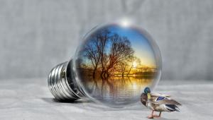 Bild einer liegenden Glühbirne, in der eine Seenlandschaft zu erkennen ist. Am Ufer steht ein Baum, es dämmert. Die Umgebung ist von der untergehenden Sonne angestrahlt. Vor der Glühbirne steht eine Ente, die den Kopf nach hinten geneigt hat.